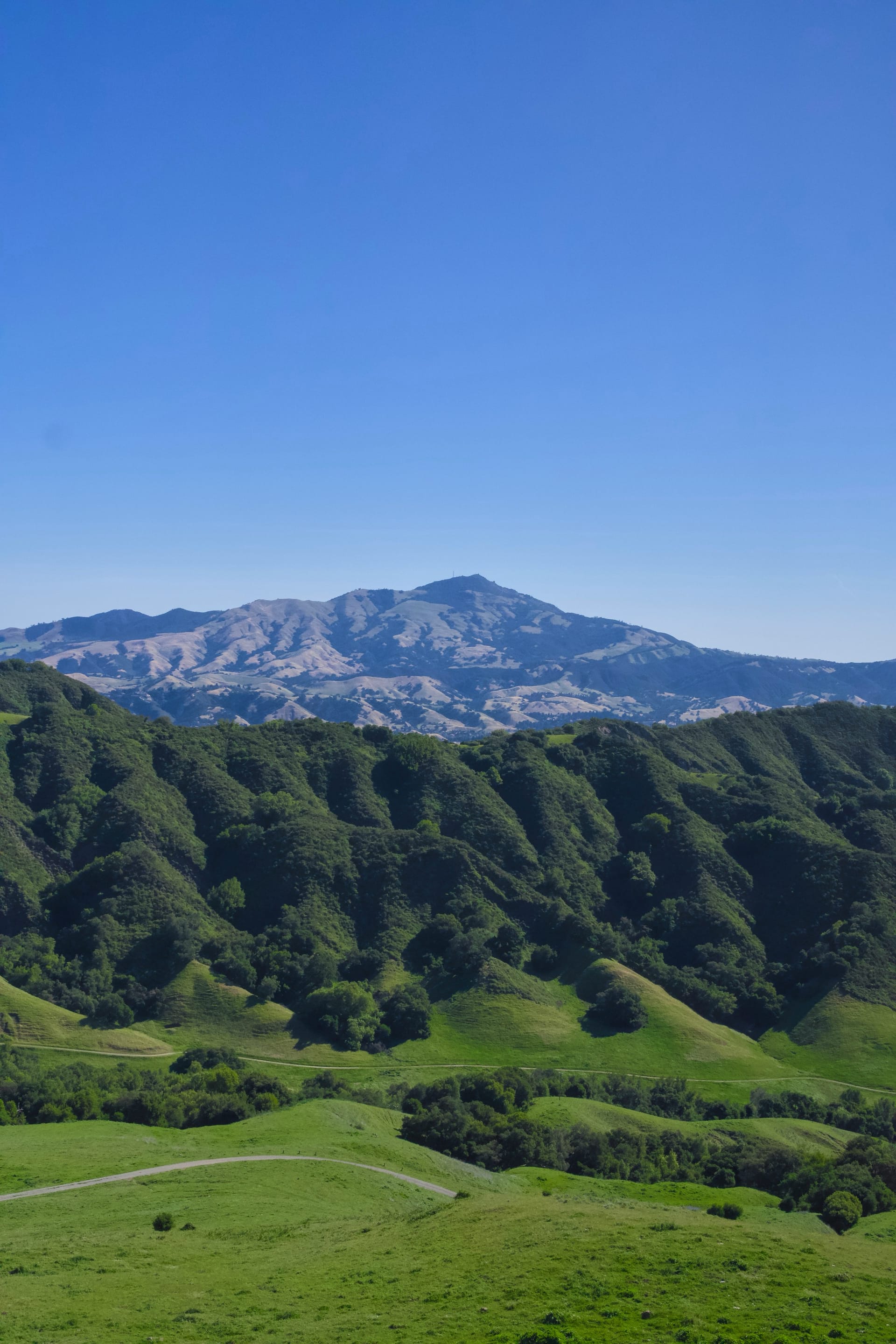 Green rolling California hills under a clear blue sky