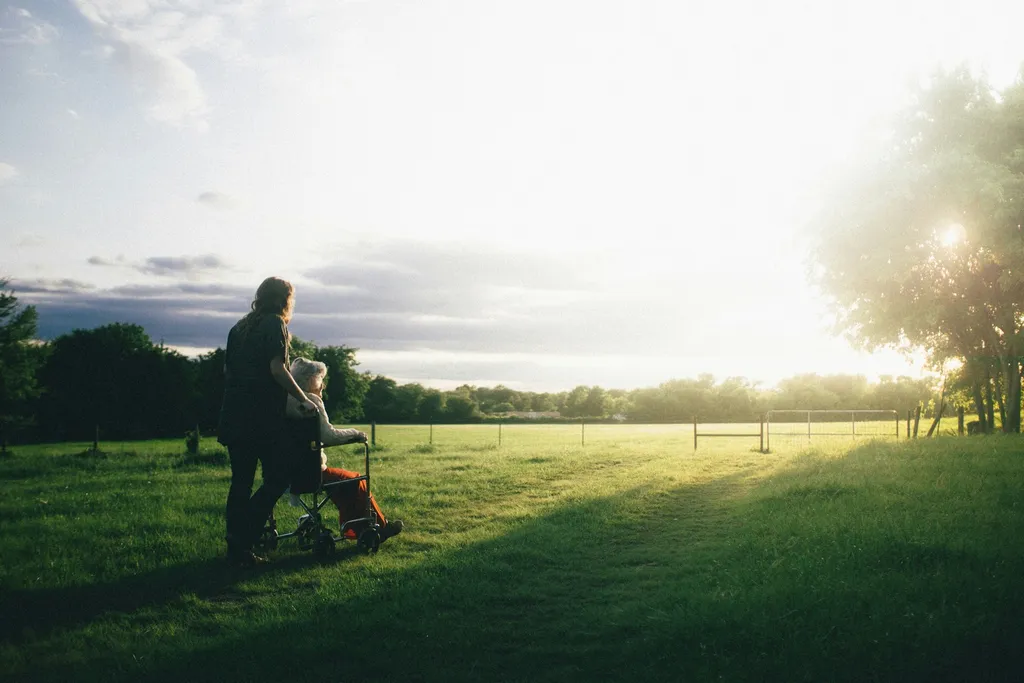 Golden sunlight streaming across a peaceful field at golden hour