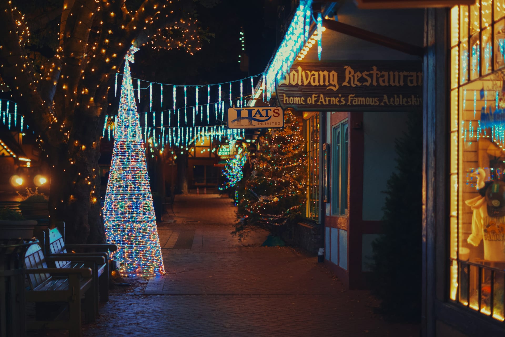 Warm holiday lights glowing softly at dusk