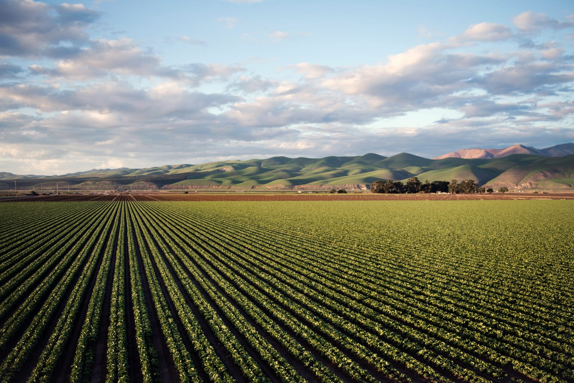 A quiet field beneath Central Coast mountains