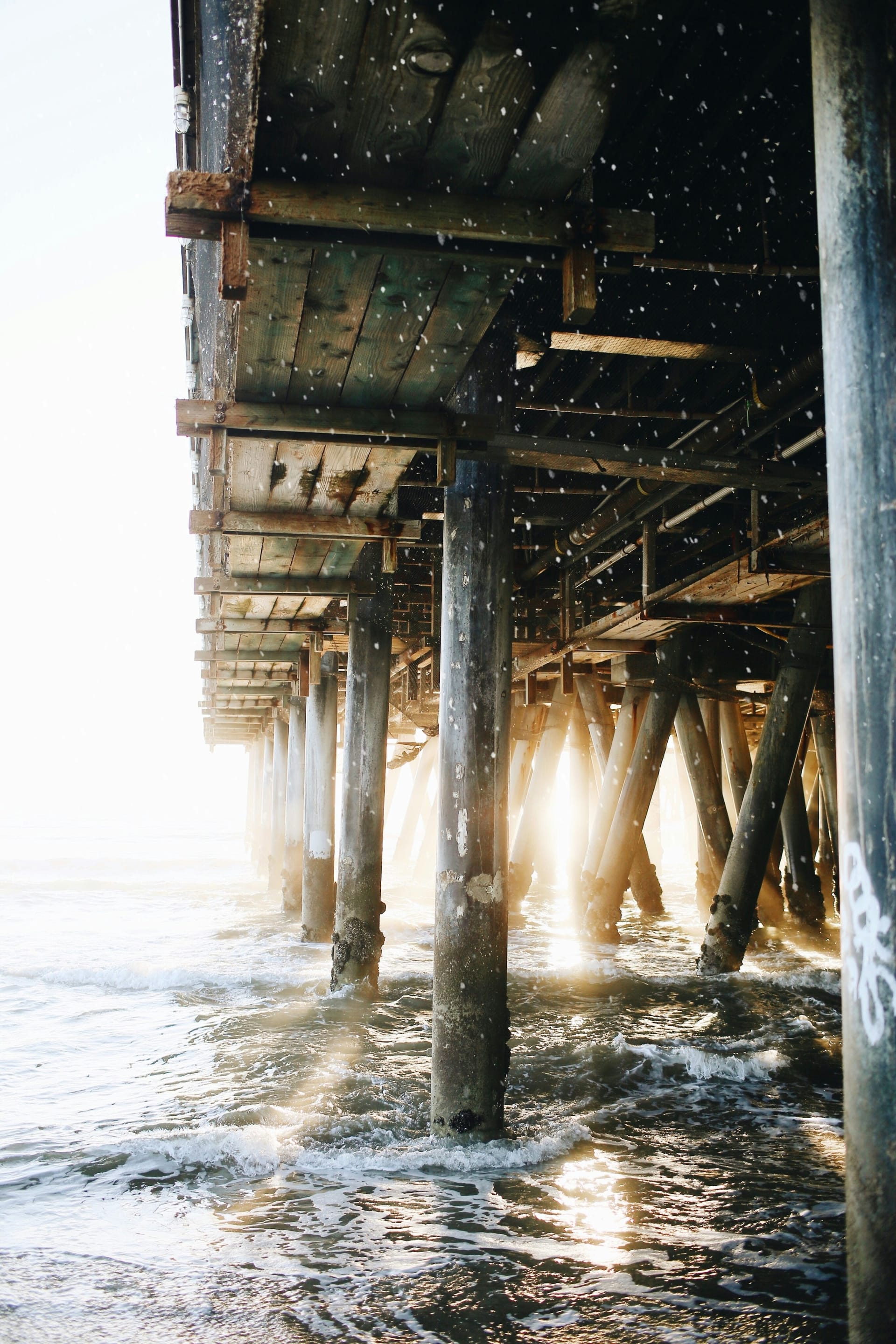A weathered wooden dock reaching out over calm coastal water